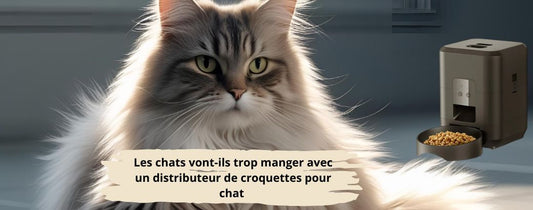 Les chats vont-ils trop manger avec un distributeur de croquettes pour chat