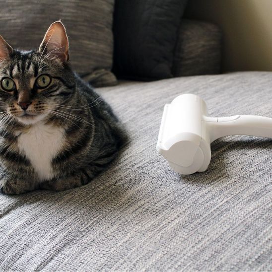 brosse-pour-chat-efficace