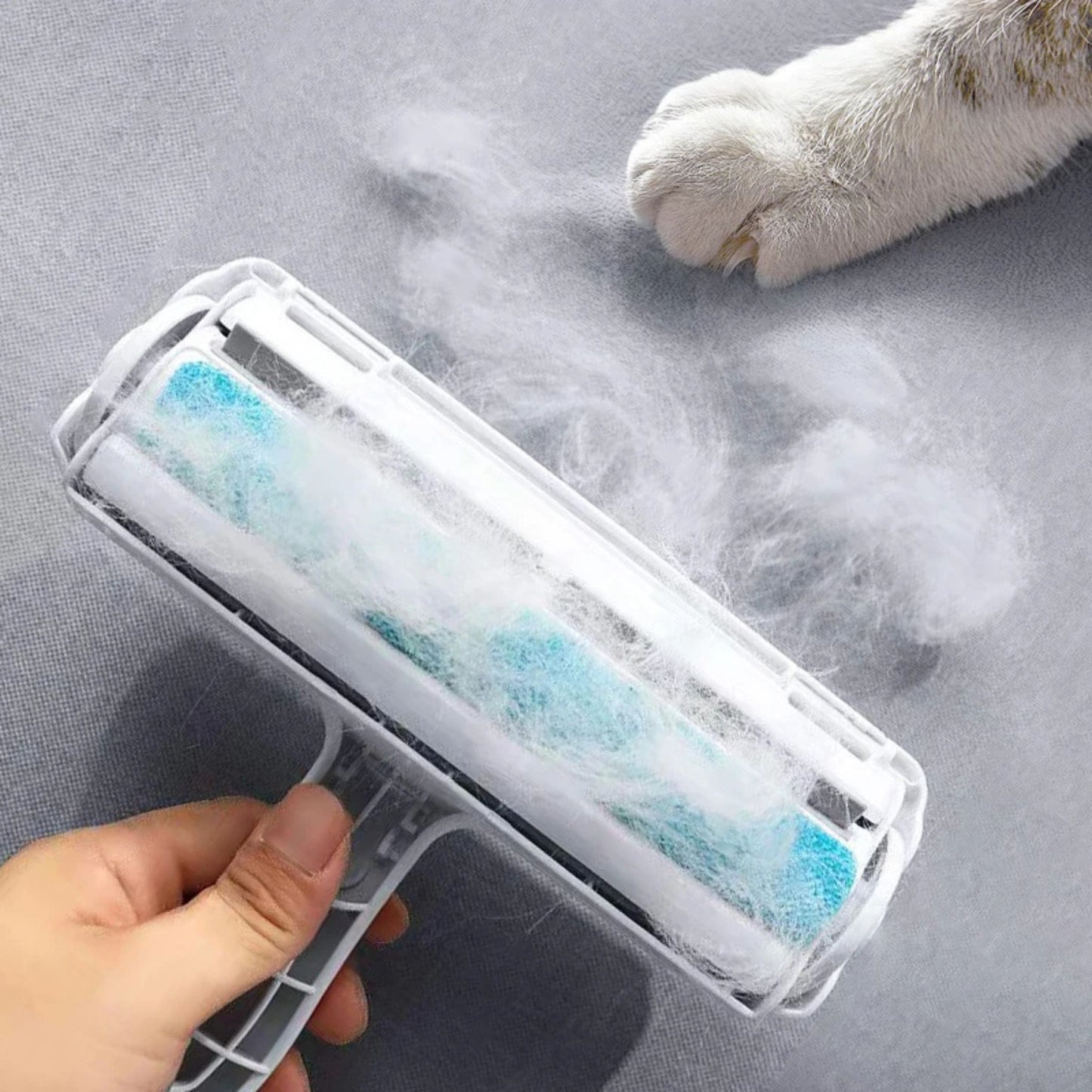 brosse-pour-chat-magic-brush