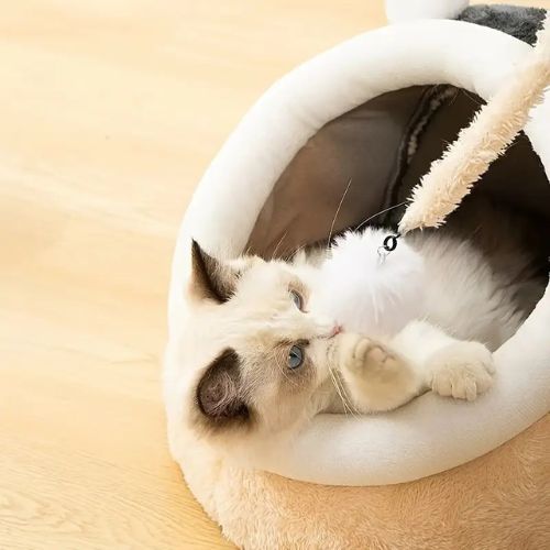 cabane à chat lanterne balle