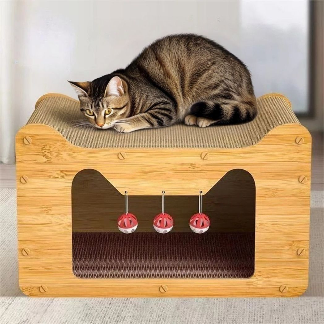 cabane-Ă -chat-tete-de-chat
