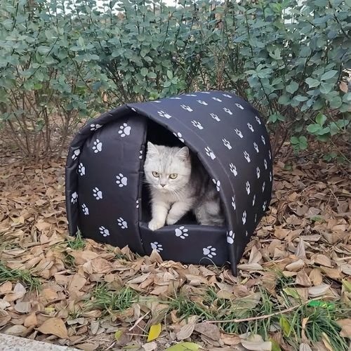 cabane chat exterieur patte