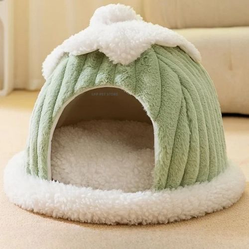 cabane chat verte chaude