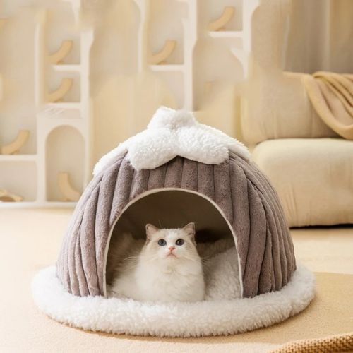 cabane chat grise taupe chaude