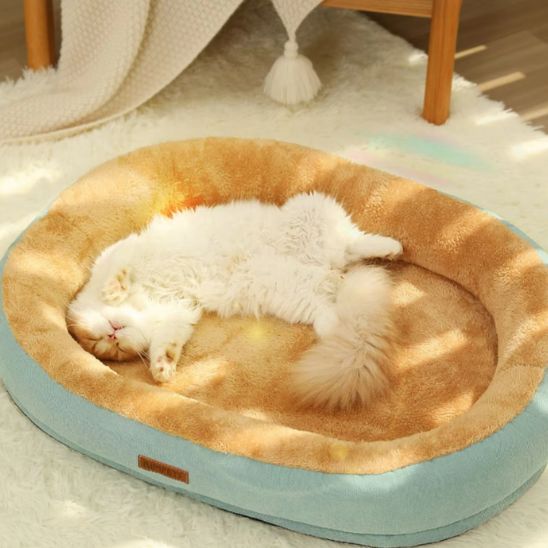 coussin Ă chat douillet - Happy minet