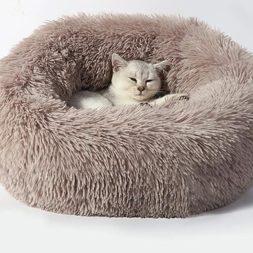 coussin chat | DODOCOSY