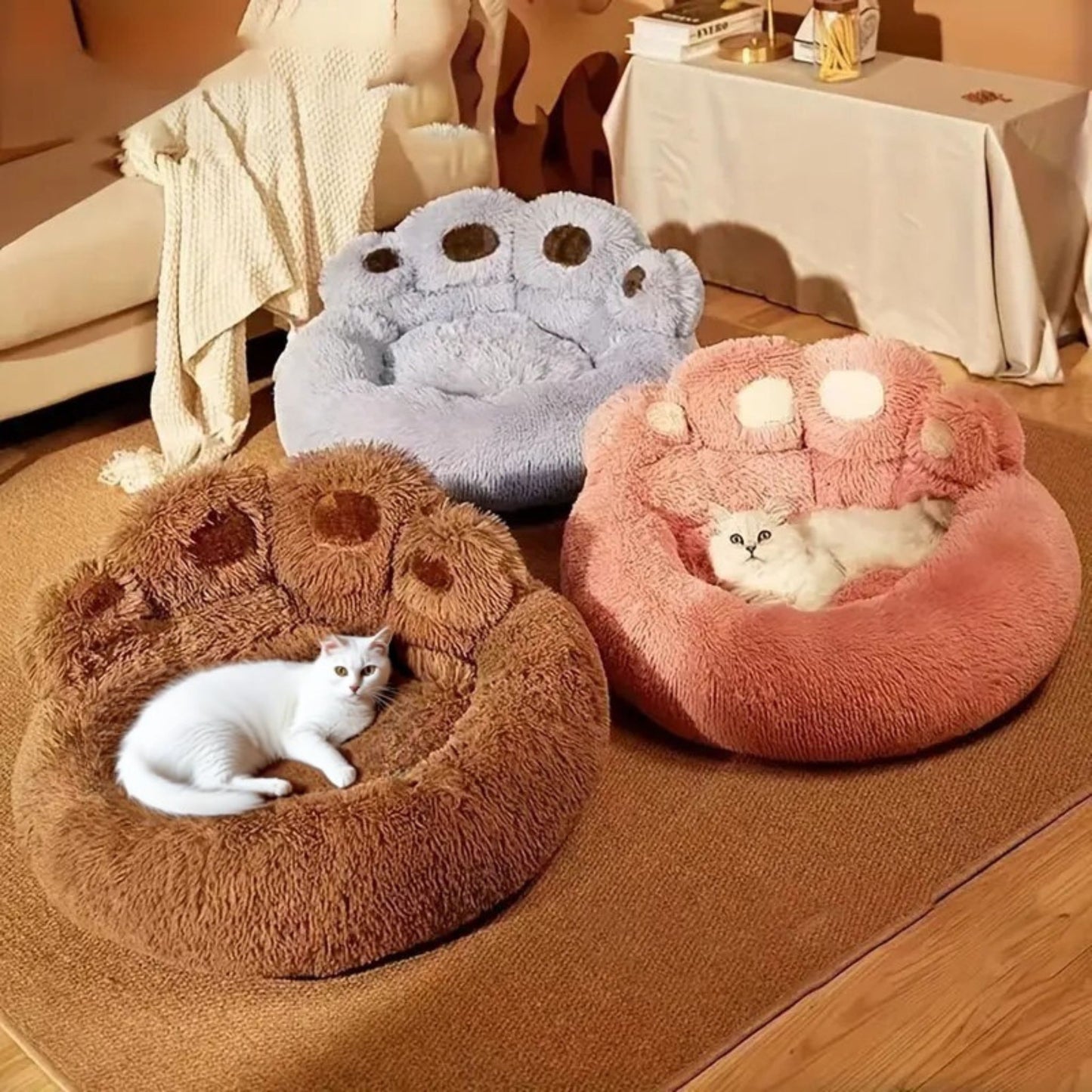 coussin-chat-coloris