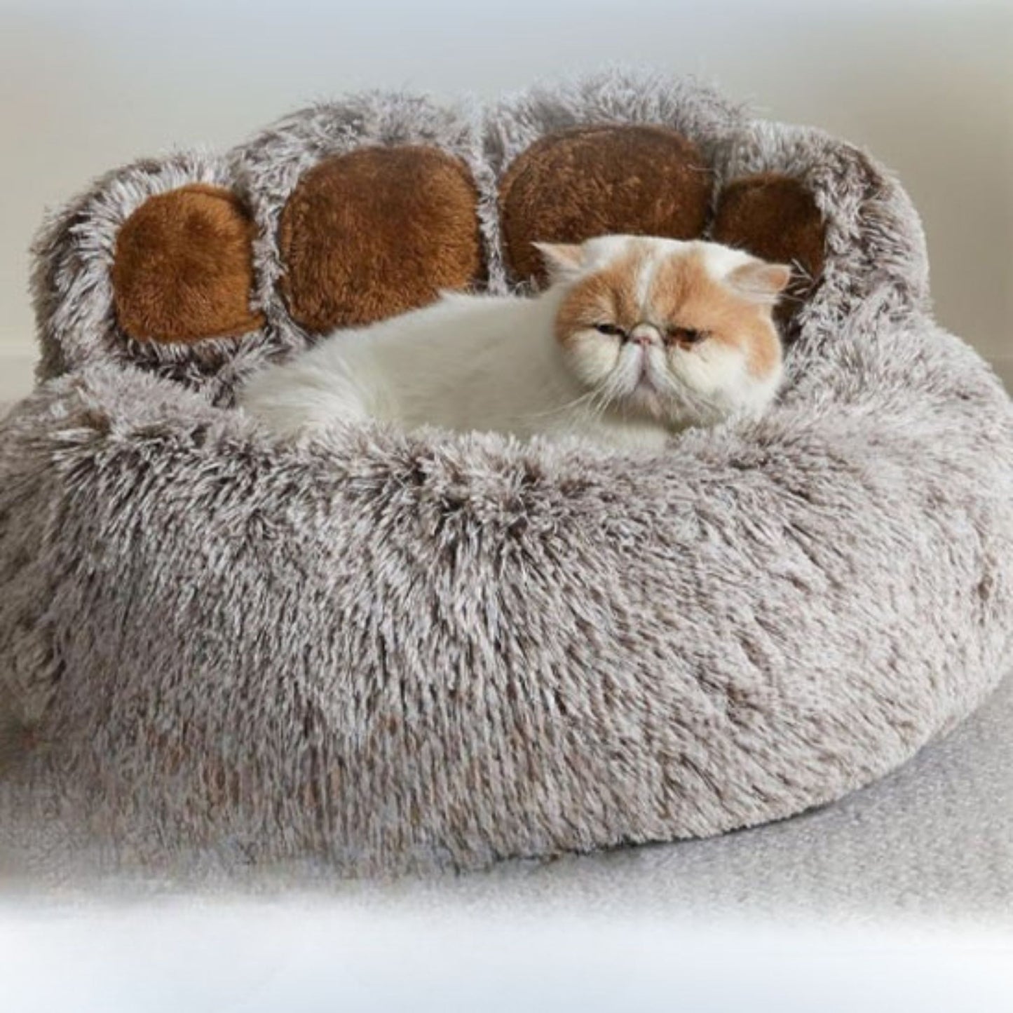 coussin-chat-gris-clair