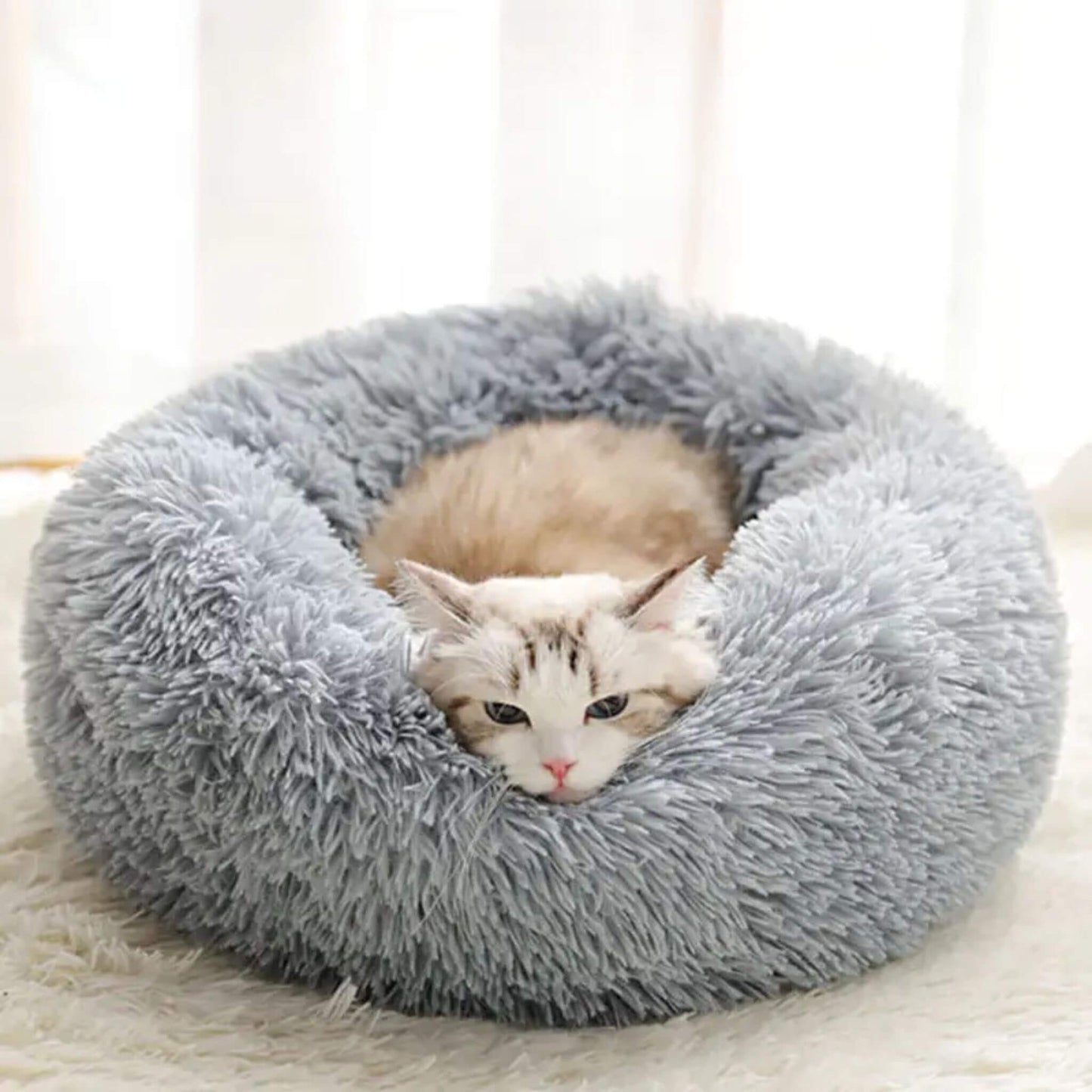 coussin-chat-relaxant