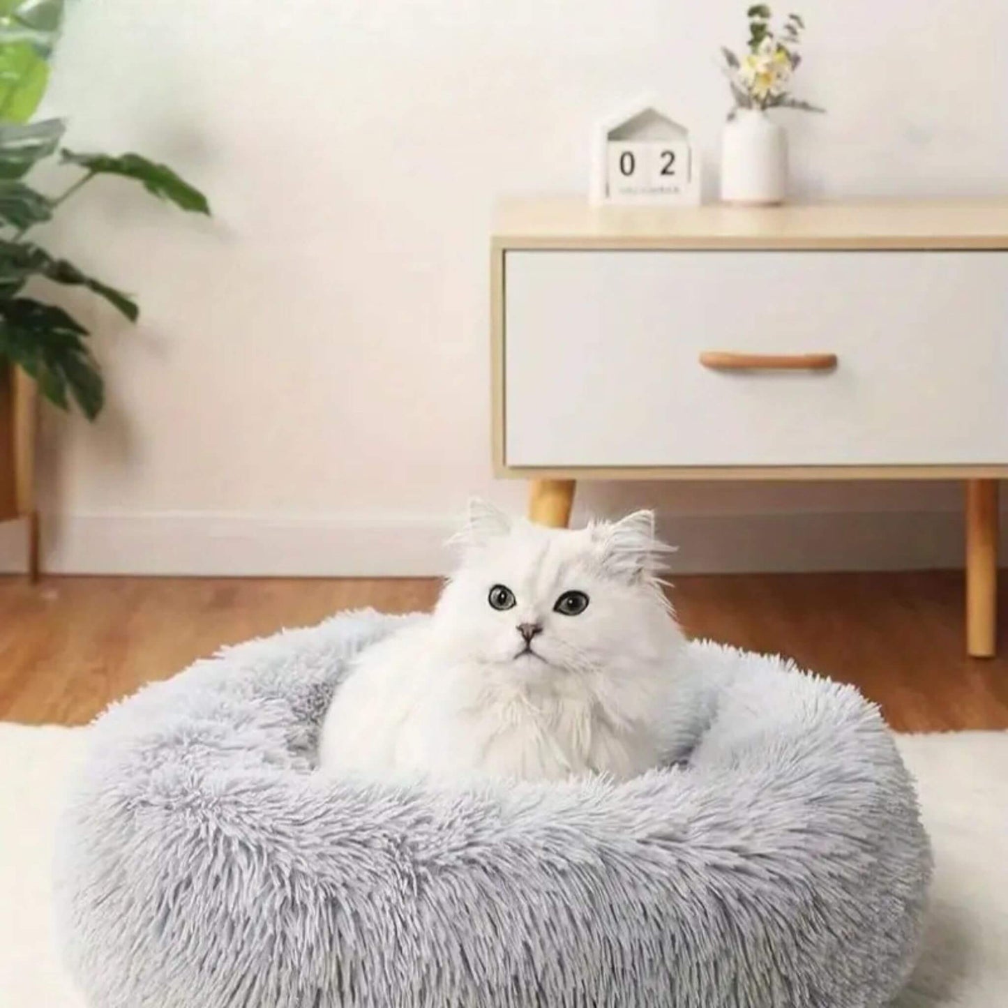 coussin-chat-reposant-gris