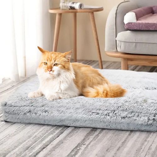 coussin pour chat orthopédique - Happy minet