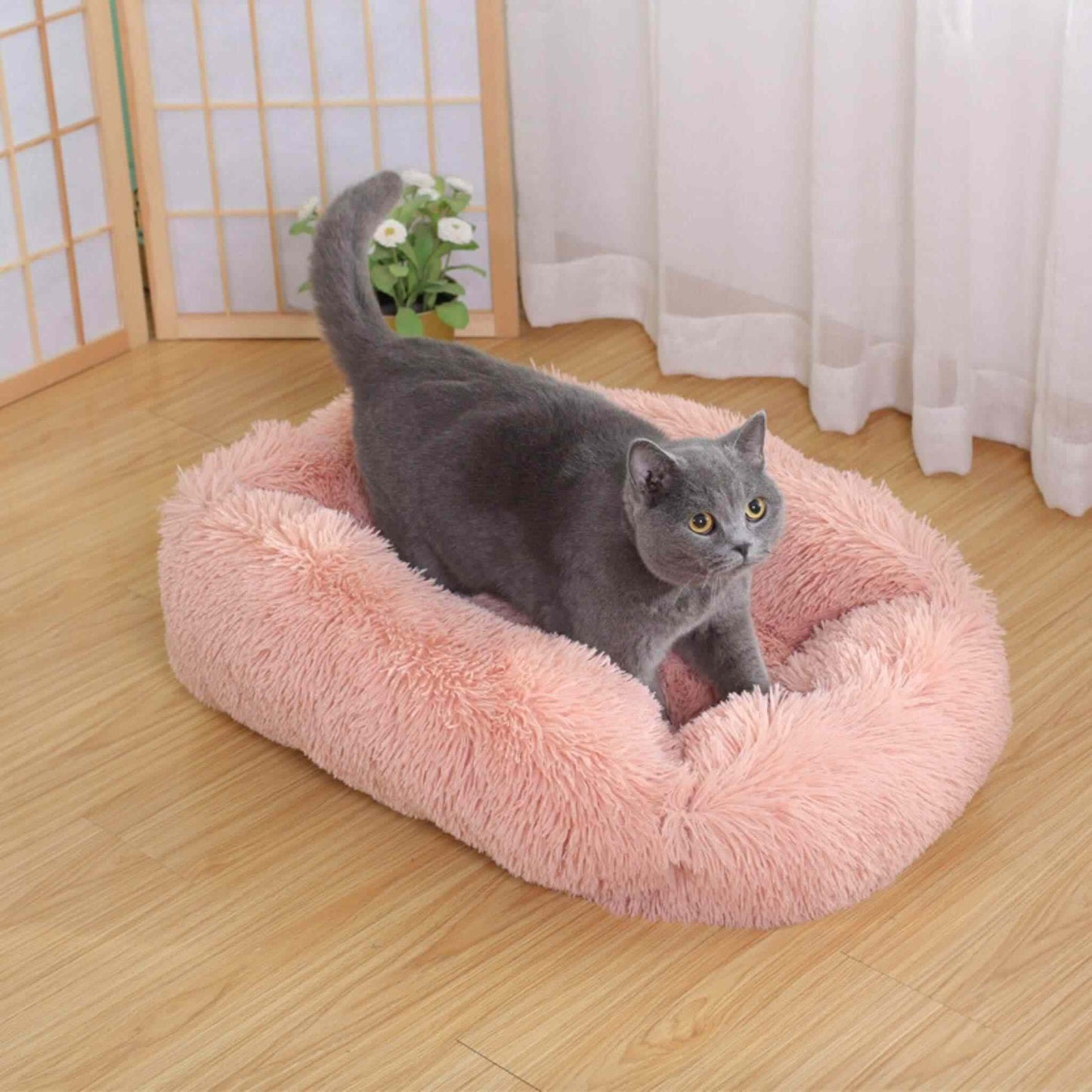 coussin-pour-chats-abricot