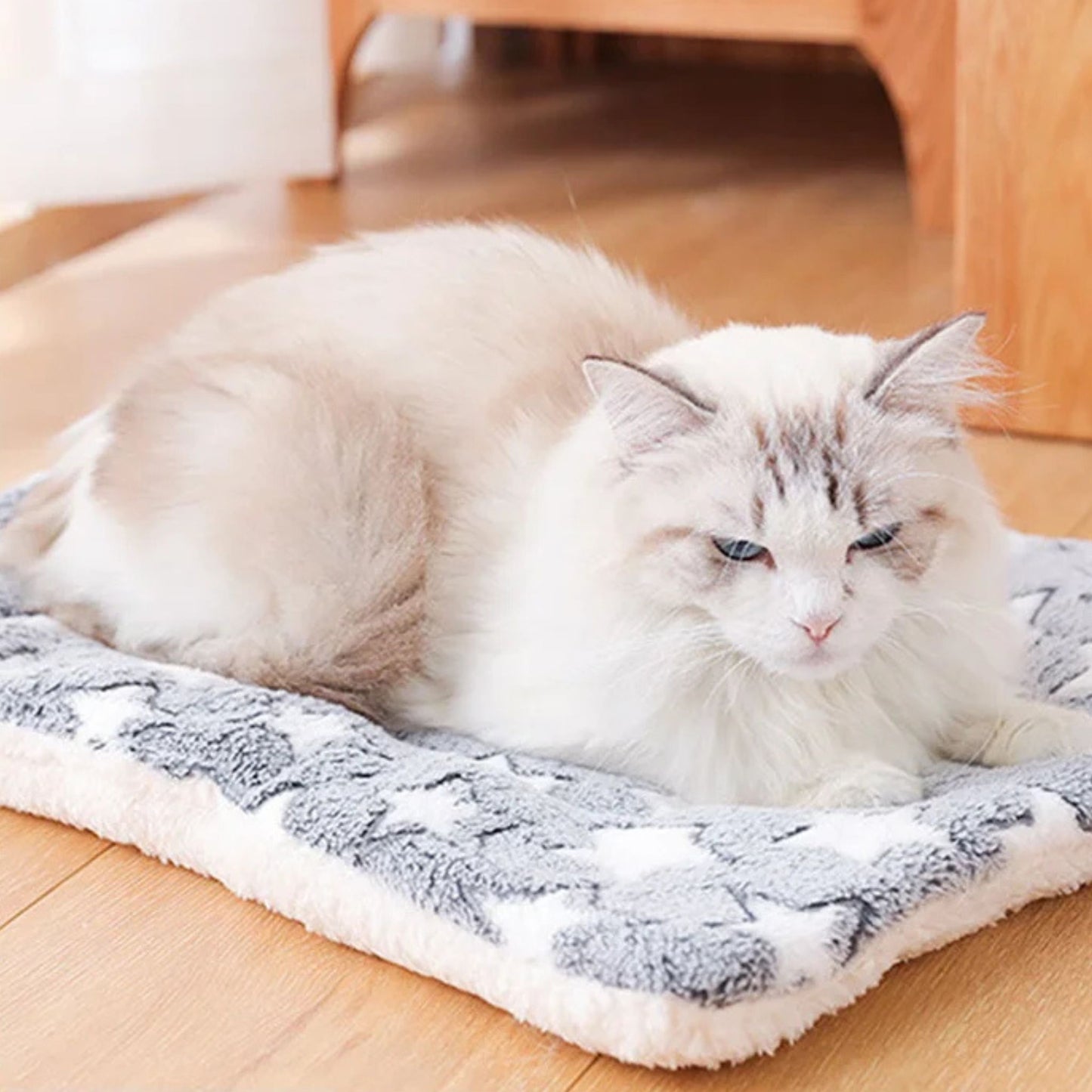 couverture-pour-chat-moelleuse