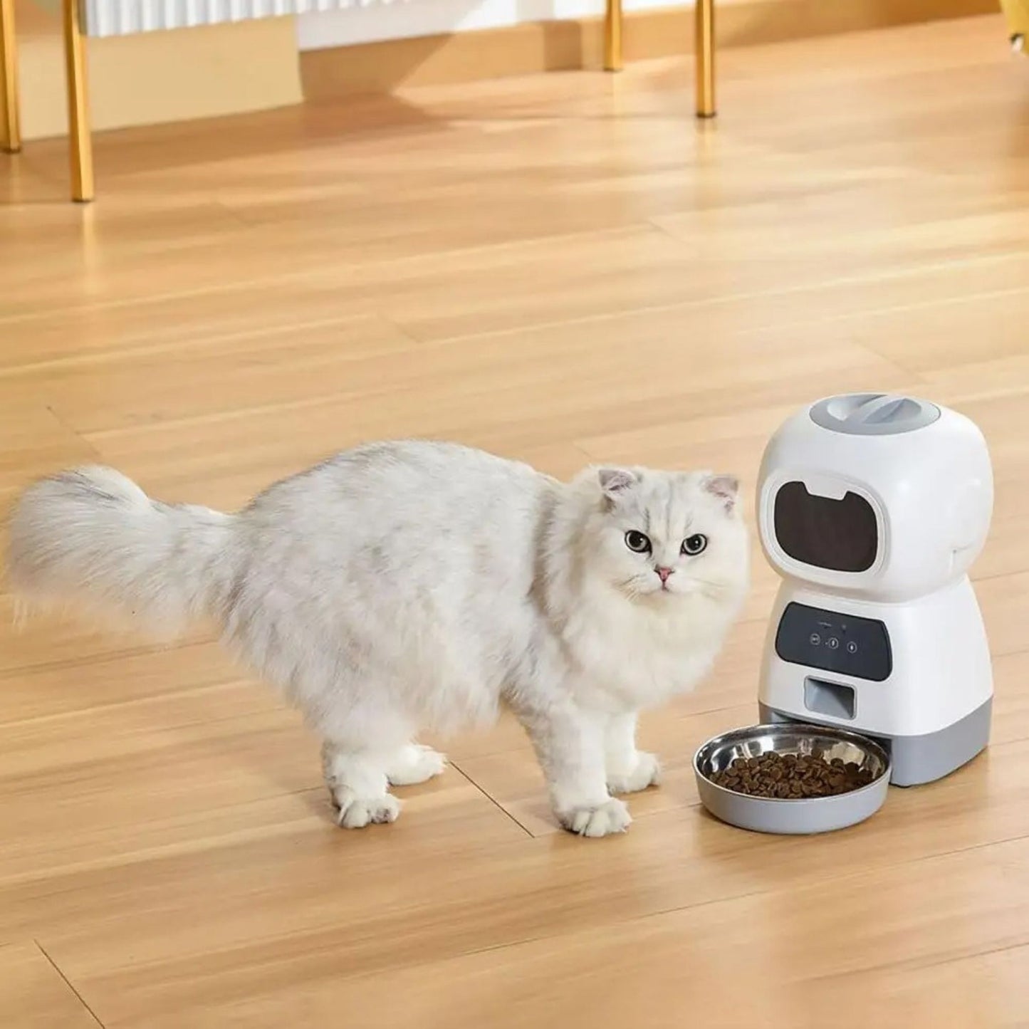 distributeur-automatique-croquettes-chat-tranquillité