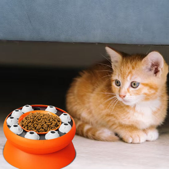 distributeur-croquette-chat-amusement