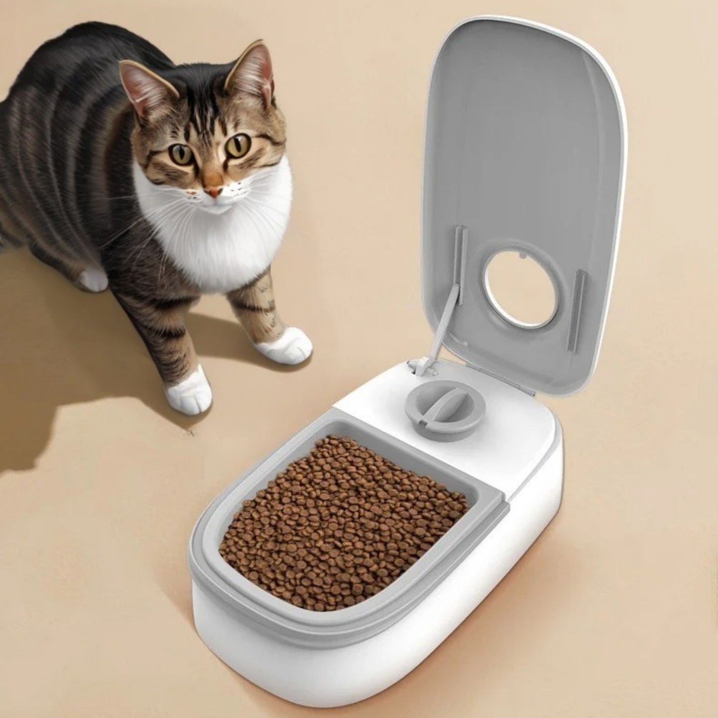 distributeur-croquette-chat-automatique-simple-gris