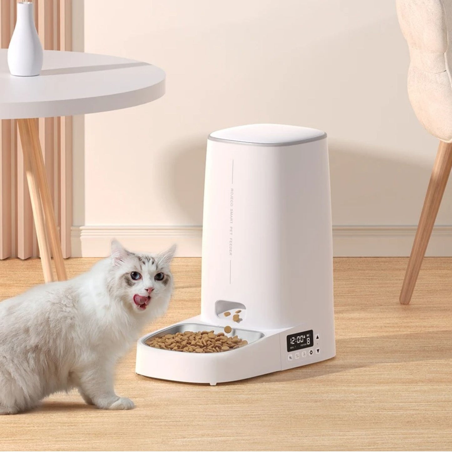 distributeur-croquette-chat-automatique-style