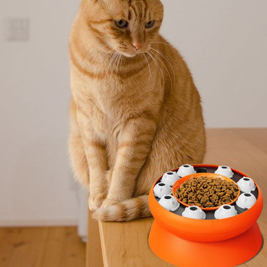 distributeur-croquette-chat-intelligent