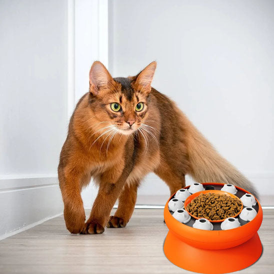 distributeur-croquette-chat-ludique-puzzle