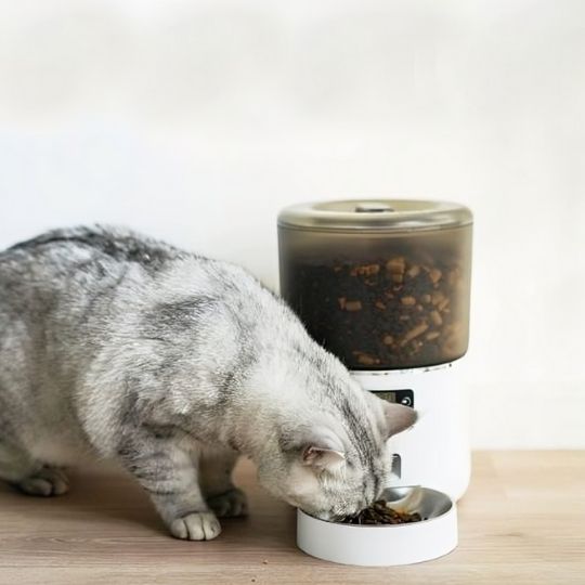 distributeur-de-croquettes-chat-durable-automatique