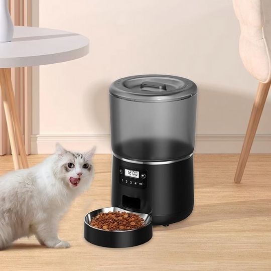 distributeur-de-croquettes-chat-noir-automatique