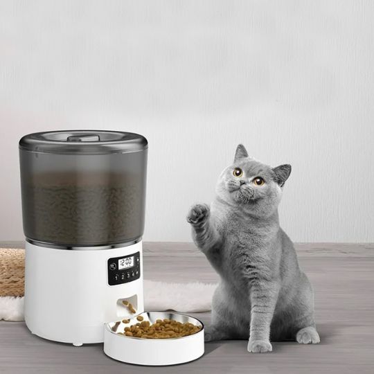 distributeur-de-croquettes-chat-réservoir-transparent