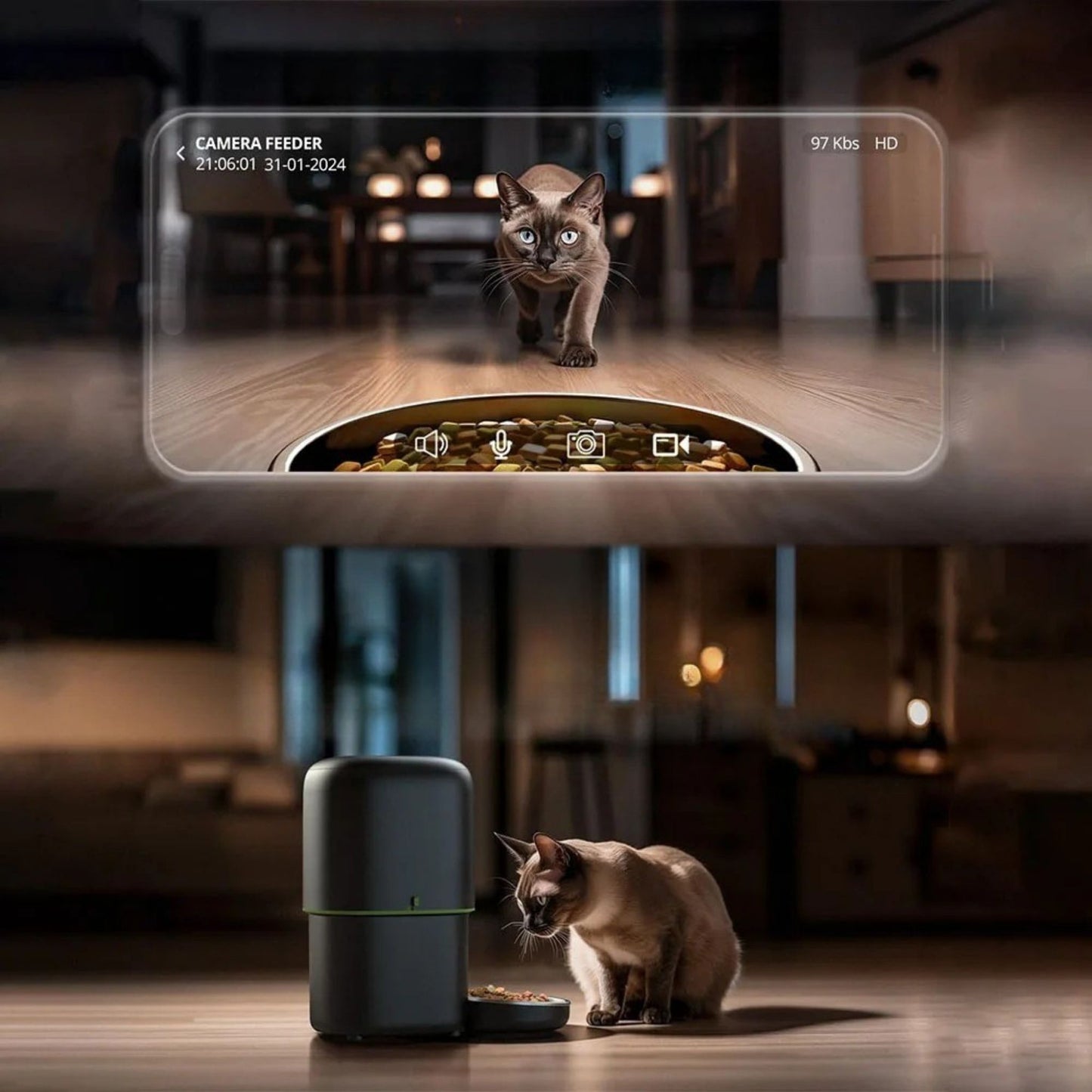 distributeur-de-croquettes-chat-surveillance