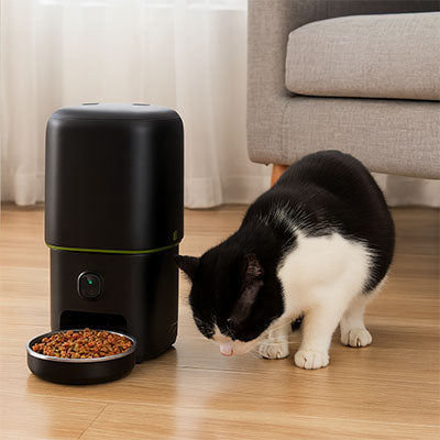distributeur-de-croquettes-chat