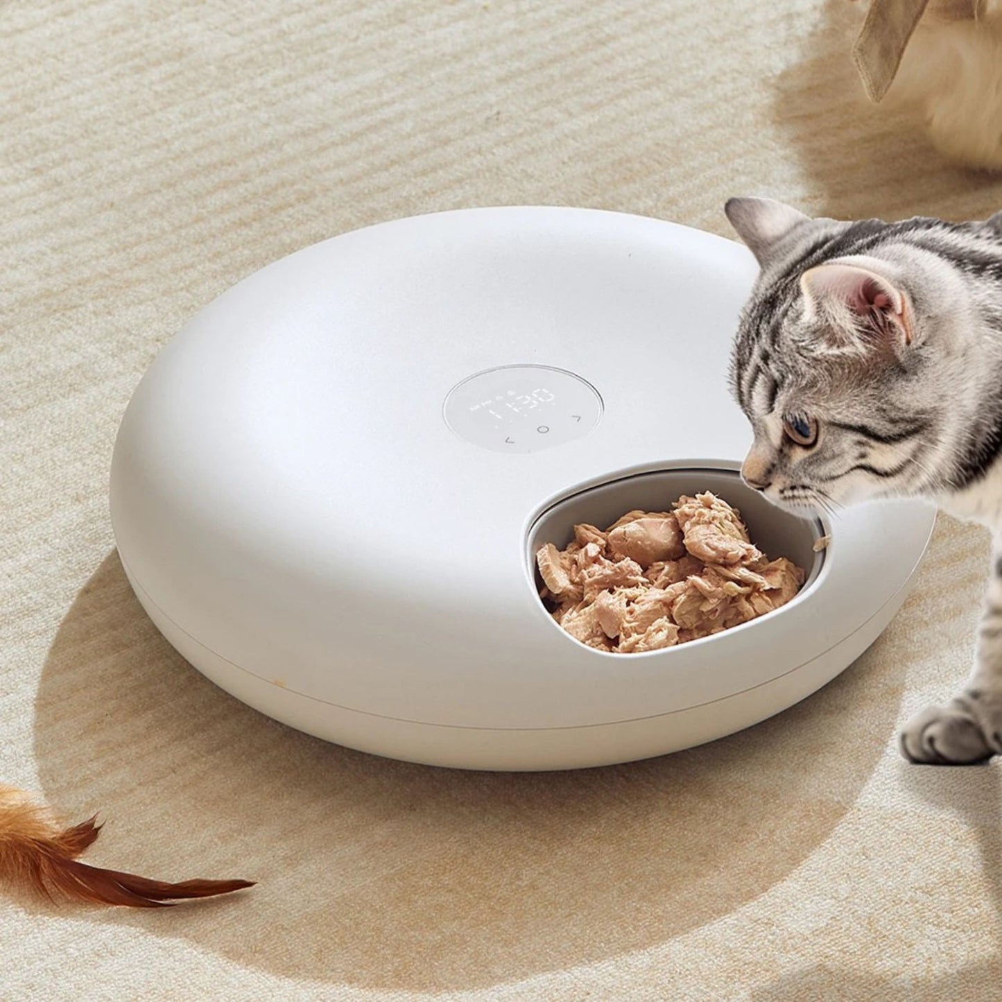 distributeur-de-patee-pour-chat-pratique