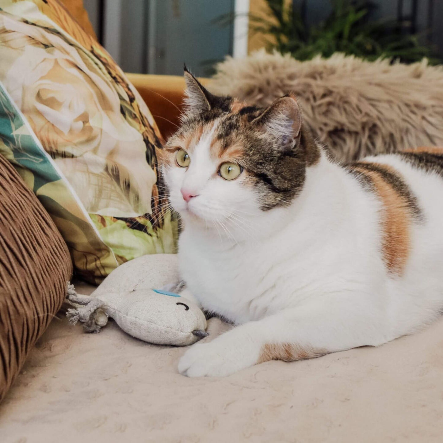 doudou-pour-chat-compagnon-design