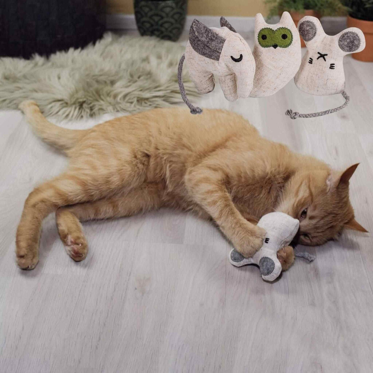 doudou-pour-chat-lot-vert-design