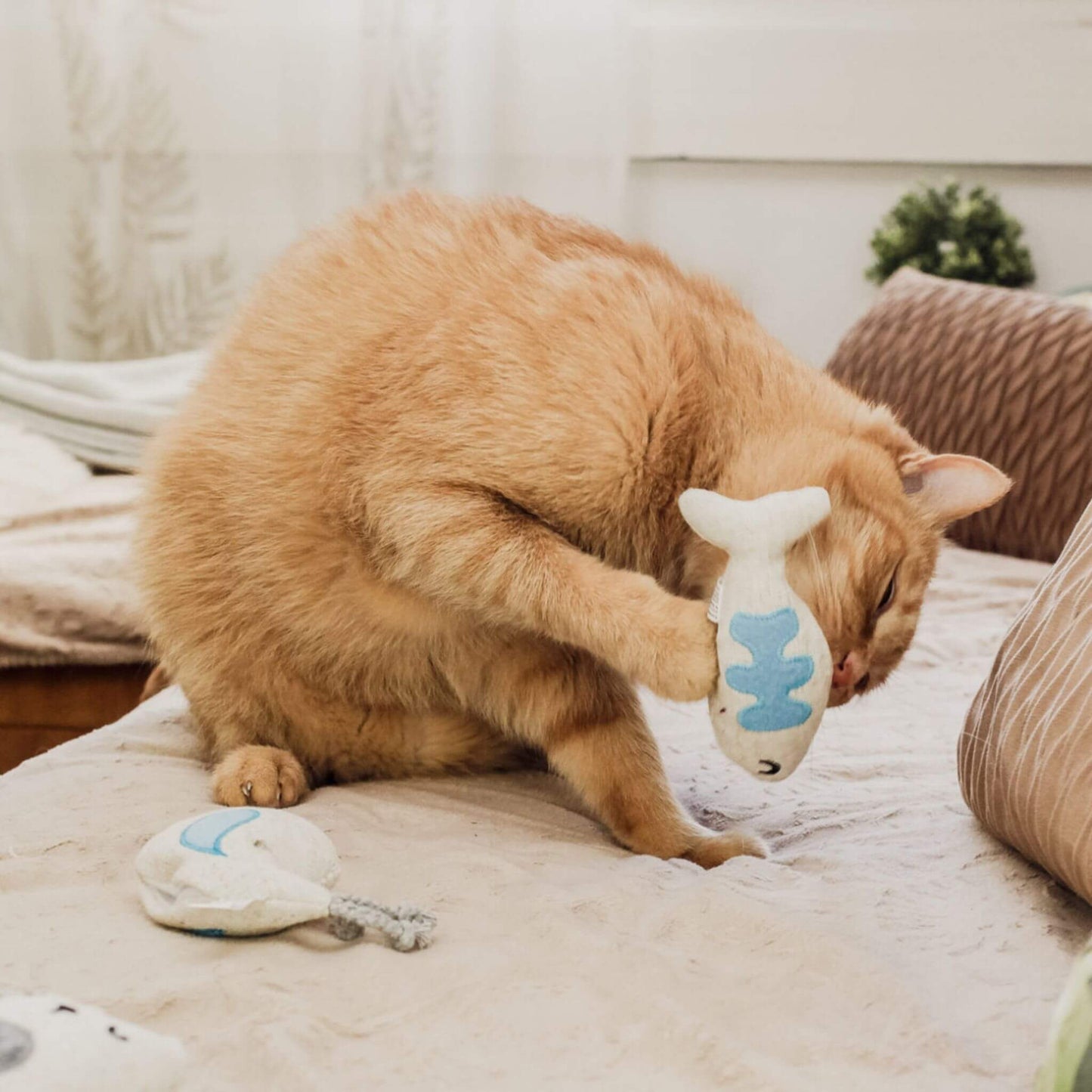 doudou-pour-chat-mordre-design