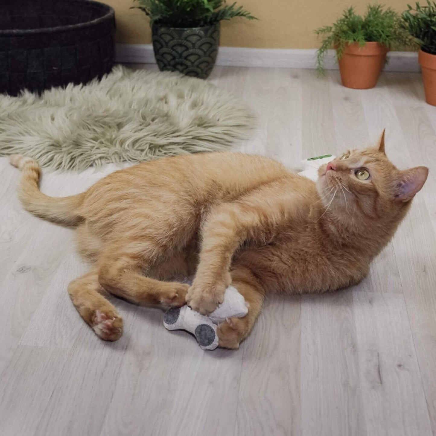 doudou-pour-chat-souris-lin