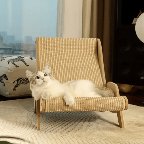 fauteuil-pour-chat-griffoir