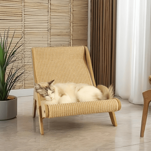 fauteuil-pour-chat-observatoire
