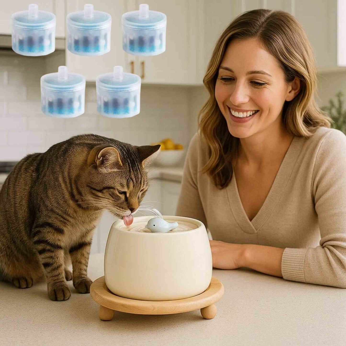 filtre-fontaine-chat-filtres-remplacement
