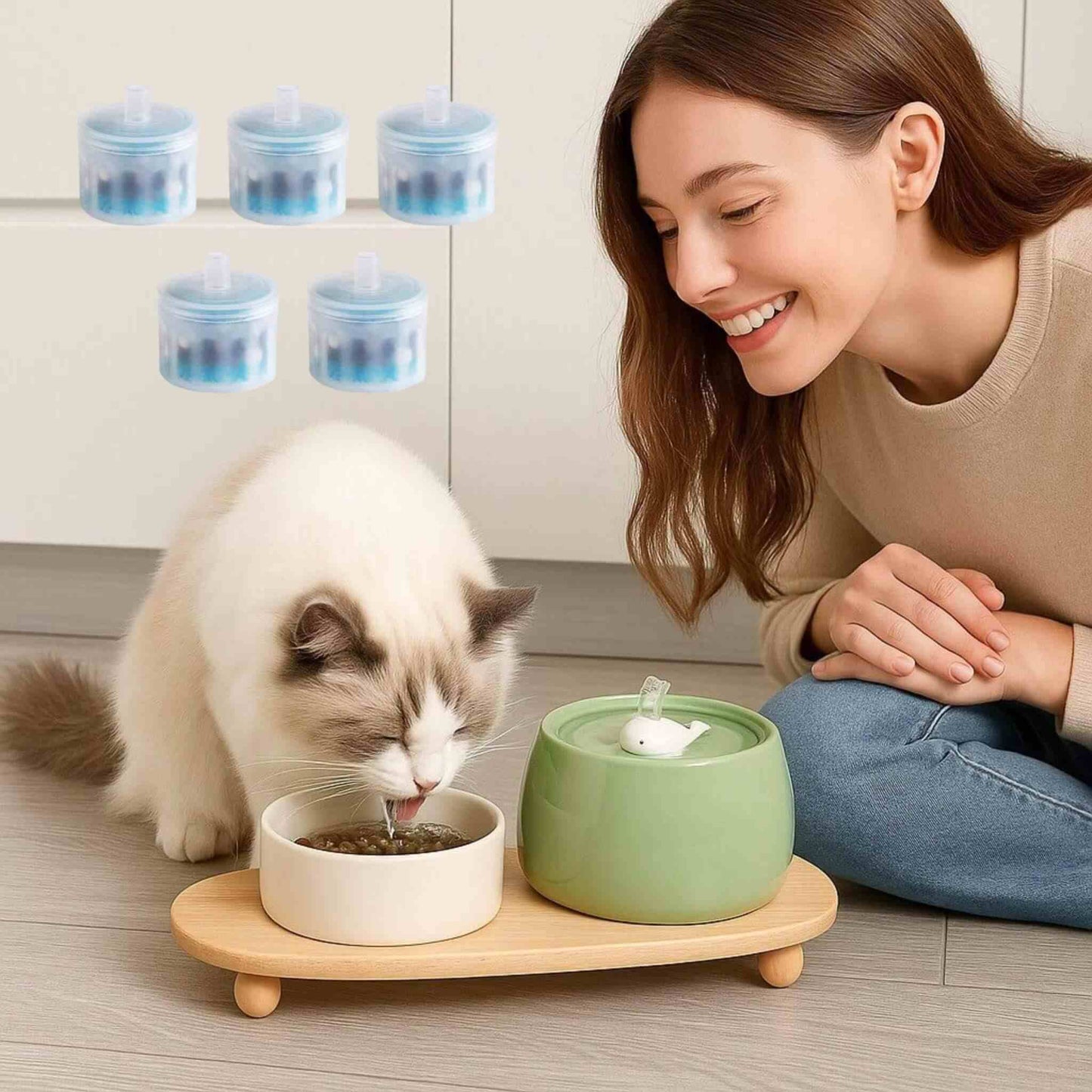 filtre-fontaine-chat-propreté