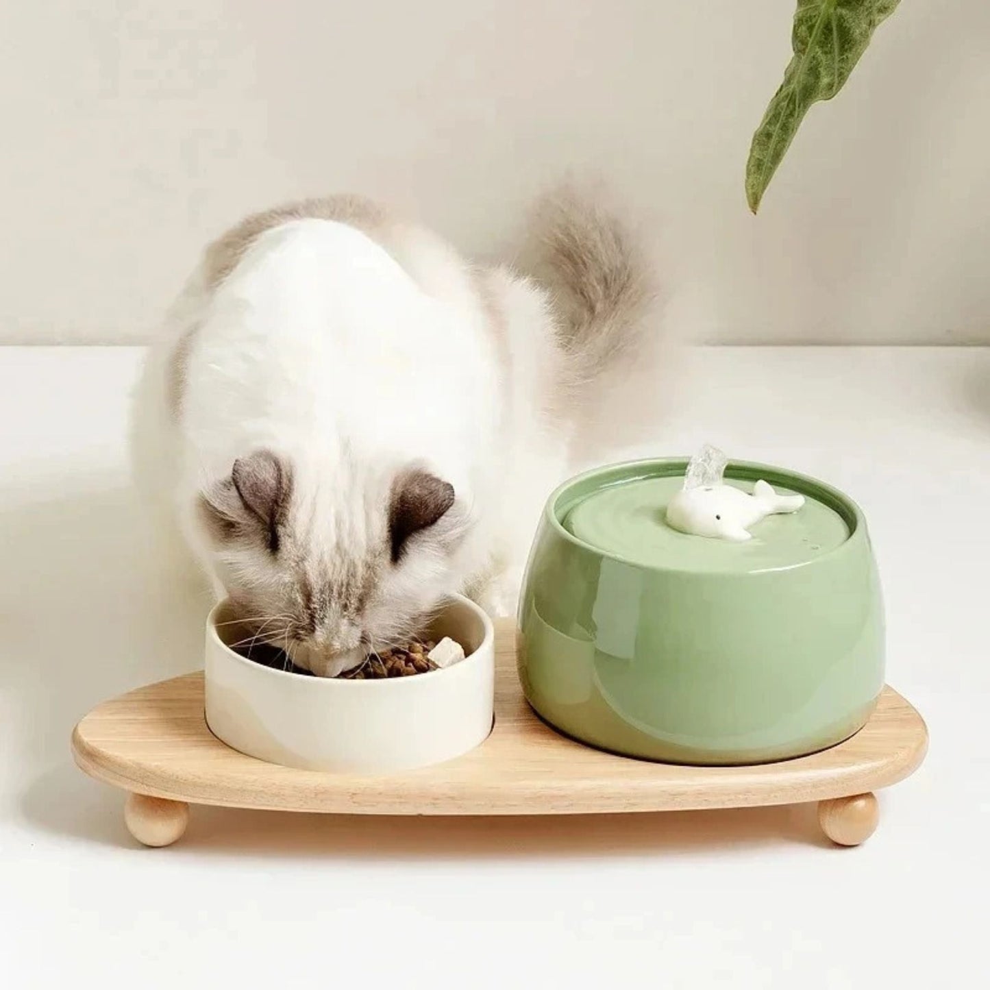 fontaine-a-eau-ceramique-chat-ensemble-vert-blanc
