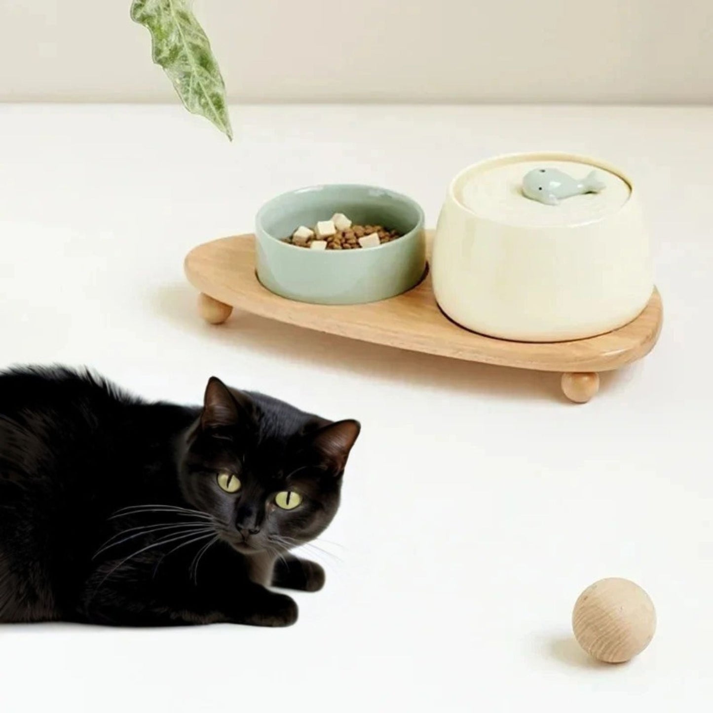 fontaine-a-eau-ceramique-chat-ensemble-blanc-vert