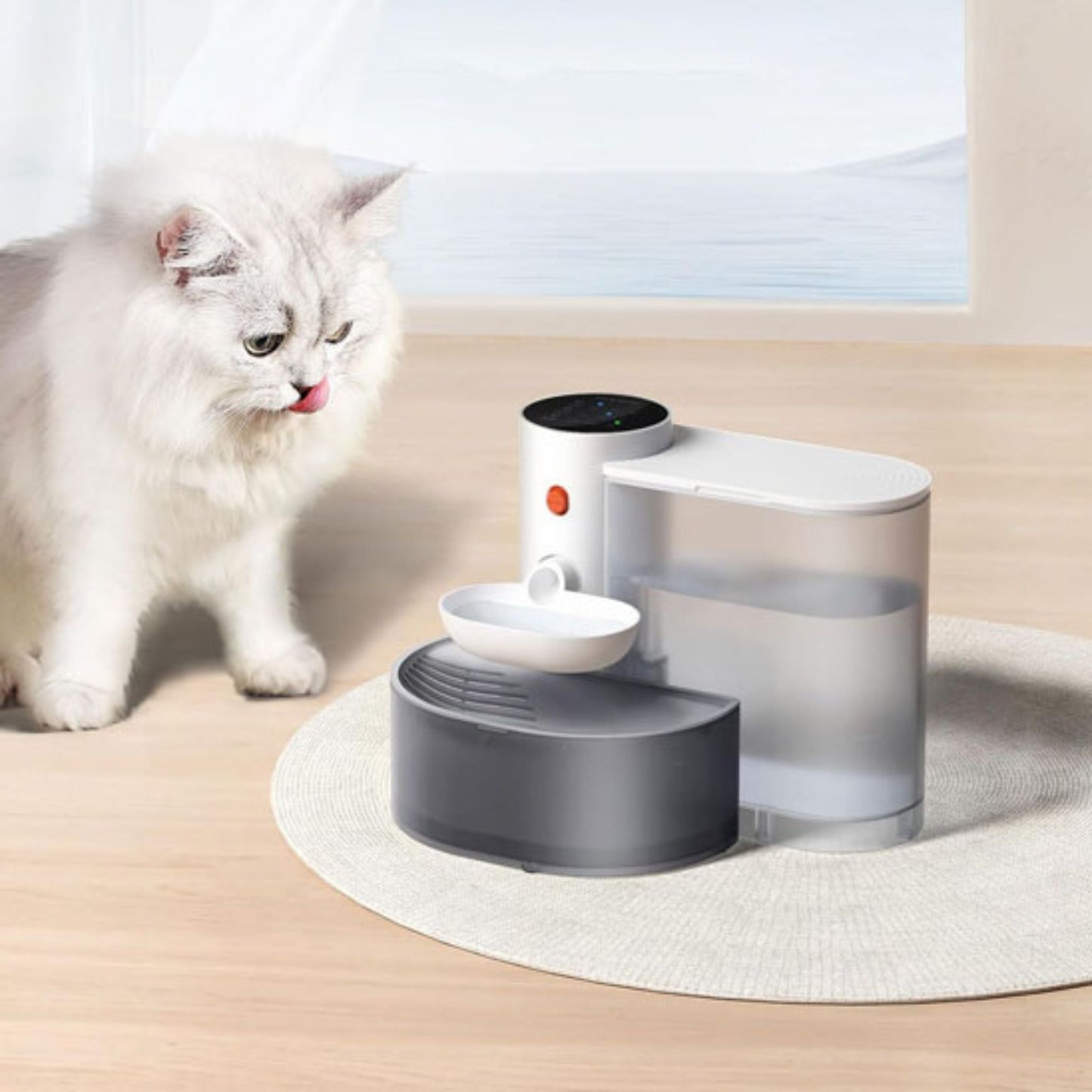 fontaine-a-eau-chat-aquagourmet-design