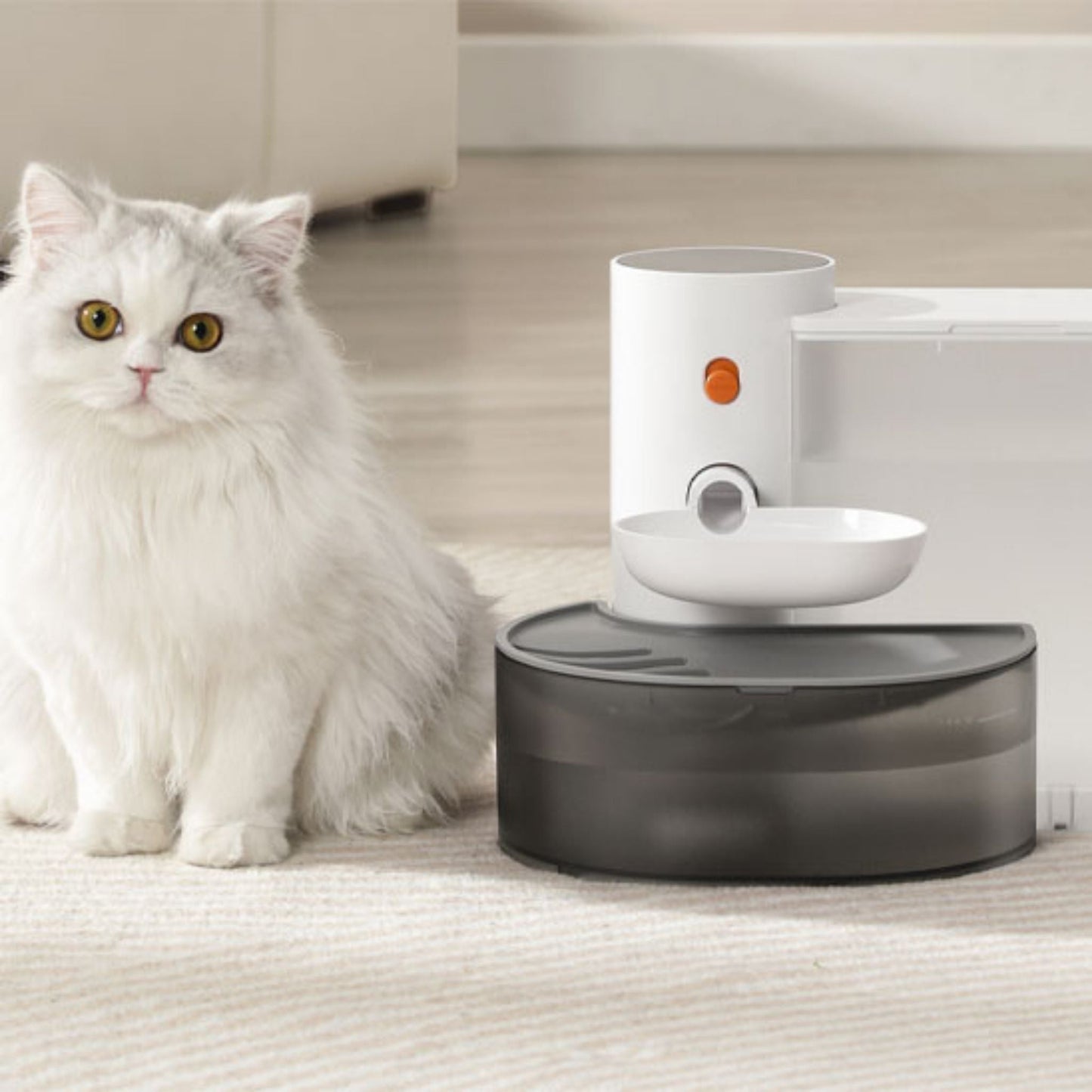 fontaine-a-eau-chat-aquagourmet