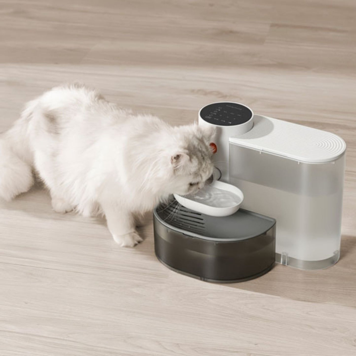 fontaine-a-eau-chat-blanche-hydratante