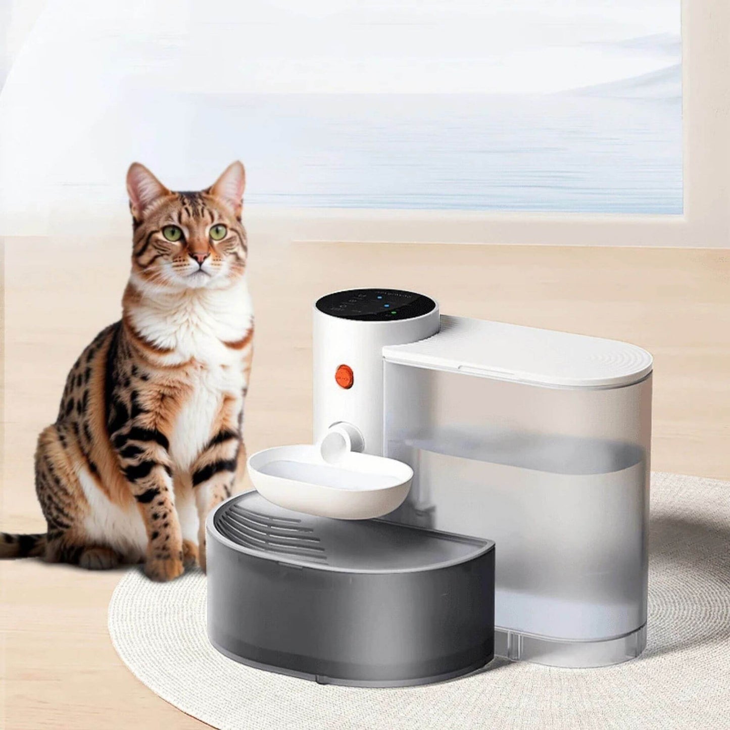 fontaine-a-eau-chat-design-blanc