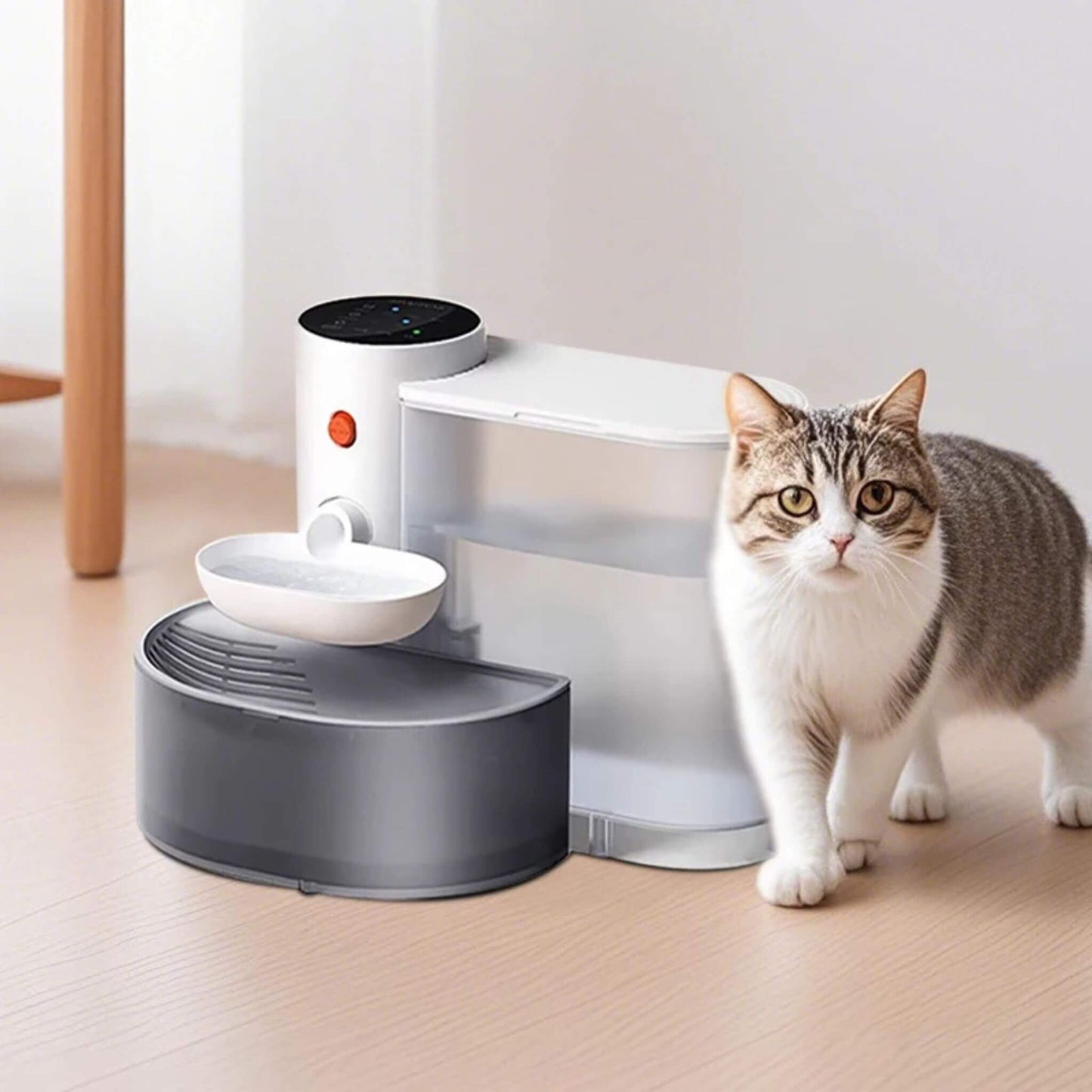 fontaine-a-eau-chat-sans-fil-unique