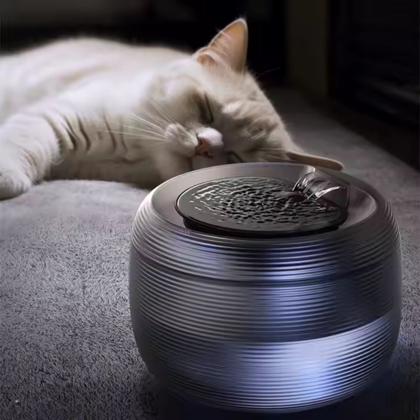 FONTAINE A EAU POUR CHAT | CatCascade - Happy minet