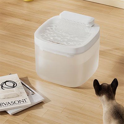 fontaine-eau-chat-blanche-sourcevive