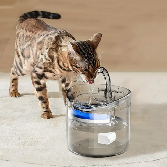 fontaine-eau-chat-eauclean
