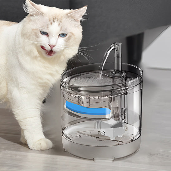 fontaine-eau-chat-efficace