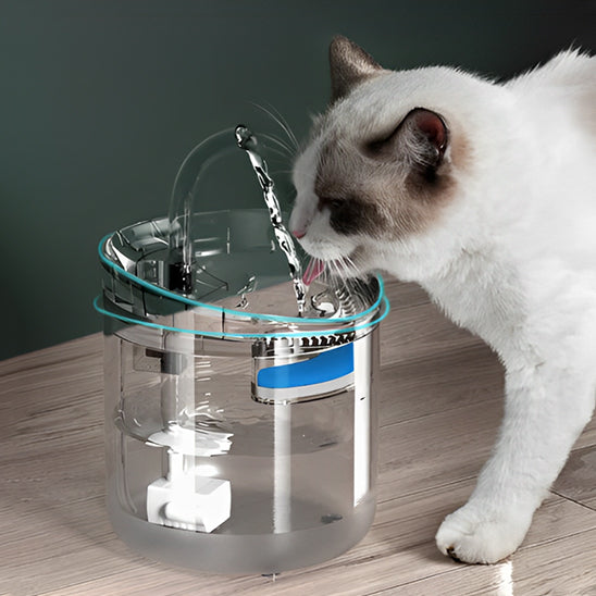fontaine-eau-chat-robinet