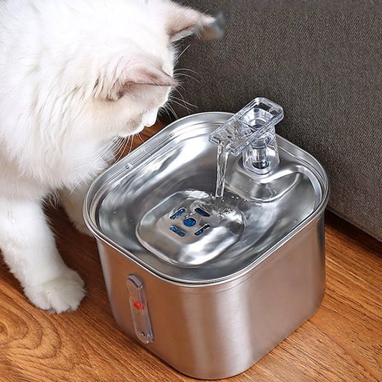 fontaine eau chat | SILVER WATER - Happy minet